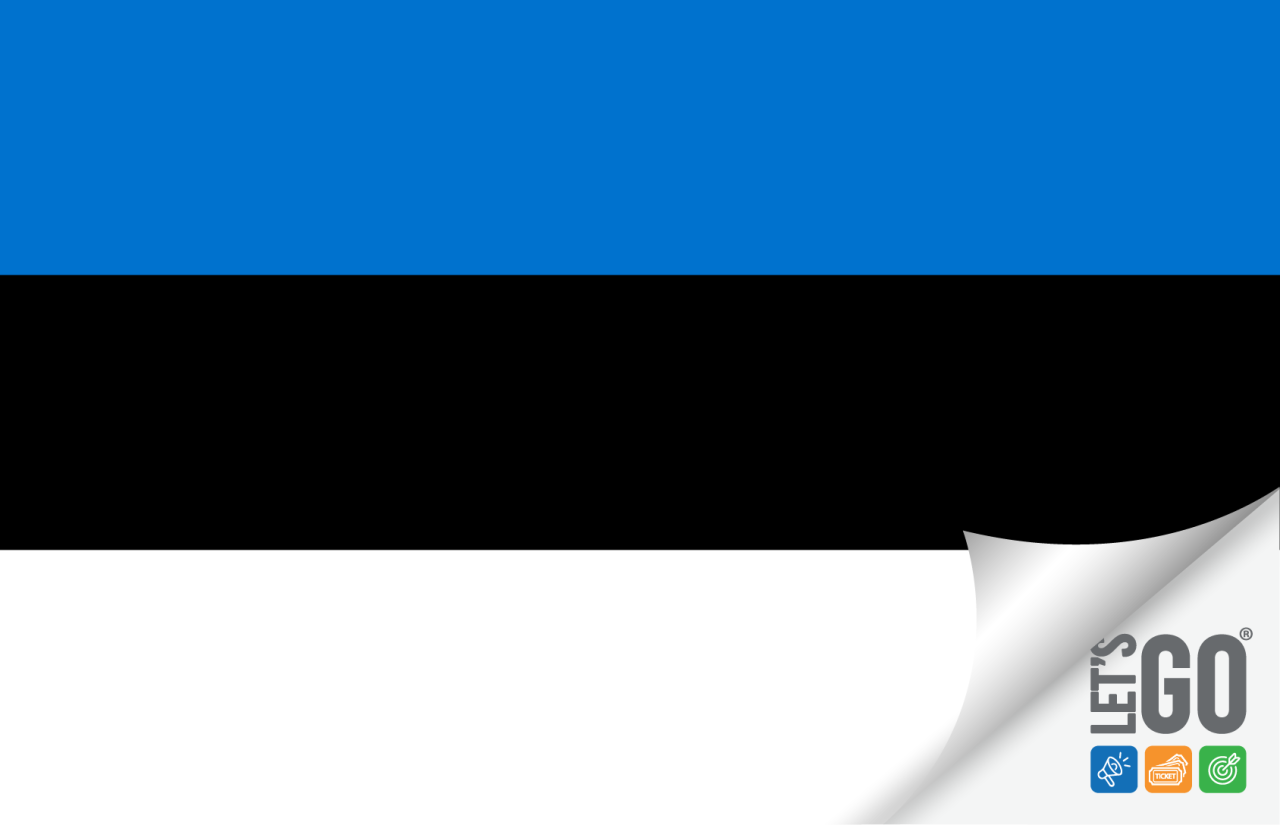 ESTONYA VİZESİ (Schengen) -